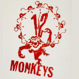 Afbeelding van 12 Monkeys